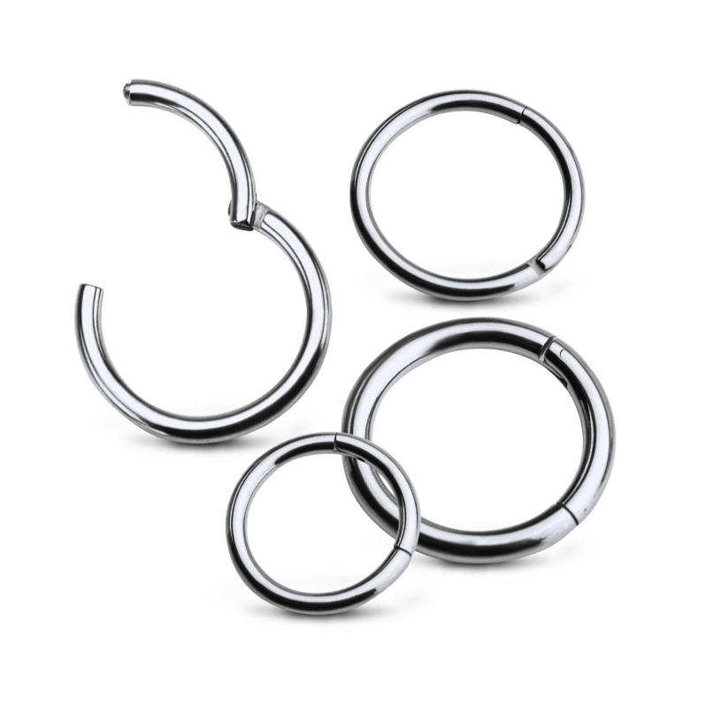 Buy 4Pairs/Pcs 18G Surgical Steel Hinged Clicker Segment Nose Rings Hoop  Helix Cartilage Daith Tragus Sleeper Earrings Body Piercing for Women Men  Girls 6mm 8mm 10mm 12mm, 6mm 8mm 10mm 12mm, Stainless